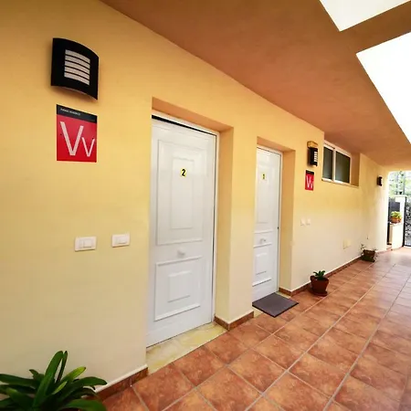 Azalea - * Puerto de la Cruz (Tenerife)