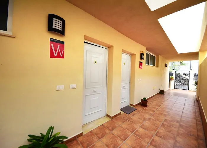 Azalea - * Puerto de la Cruz